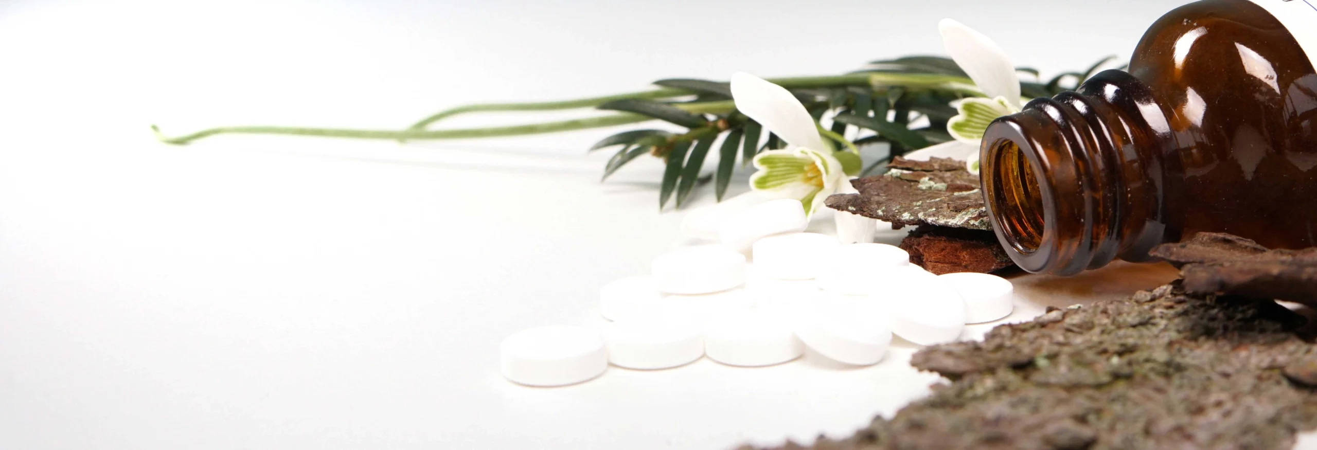 Daniella Nicolli – Praxis für Ästhetik und Naturheilkunde