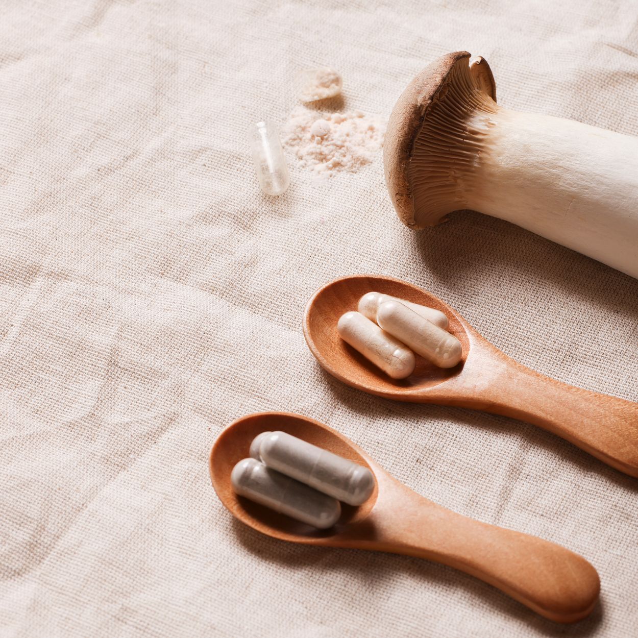 Mykotherapie Banner Ratgeber für Ästhetik und Naturheilmedizin Daniella Nicolli